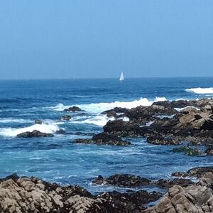 Meet your Posher, Sylvia